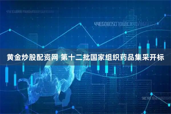 黄金炒股配资网 第十二批国家组织药品集采开标